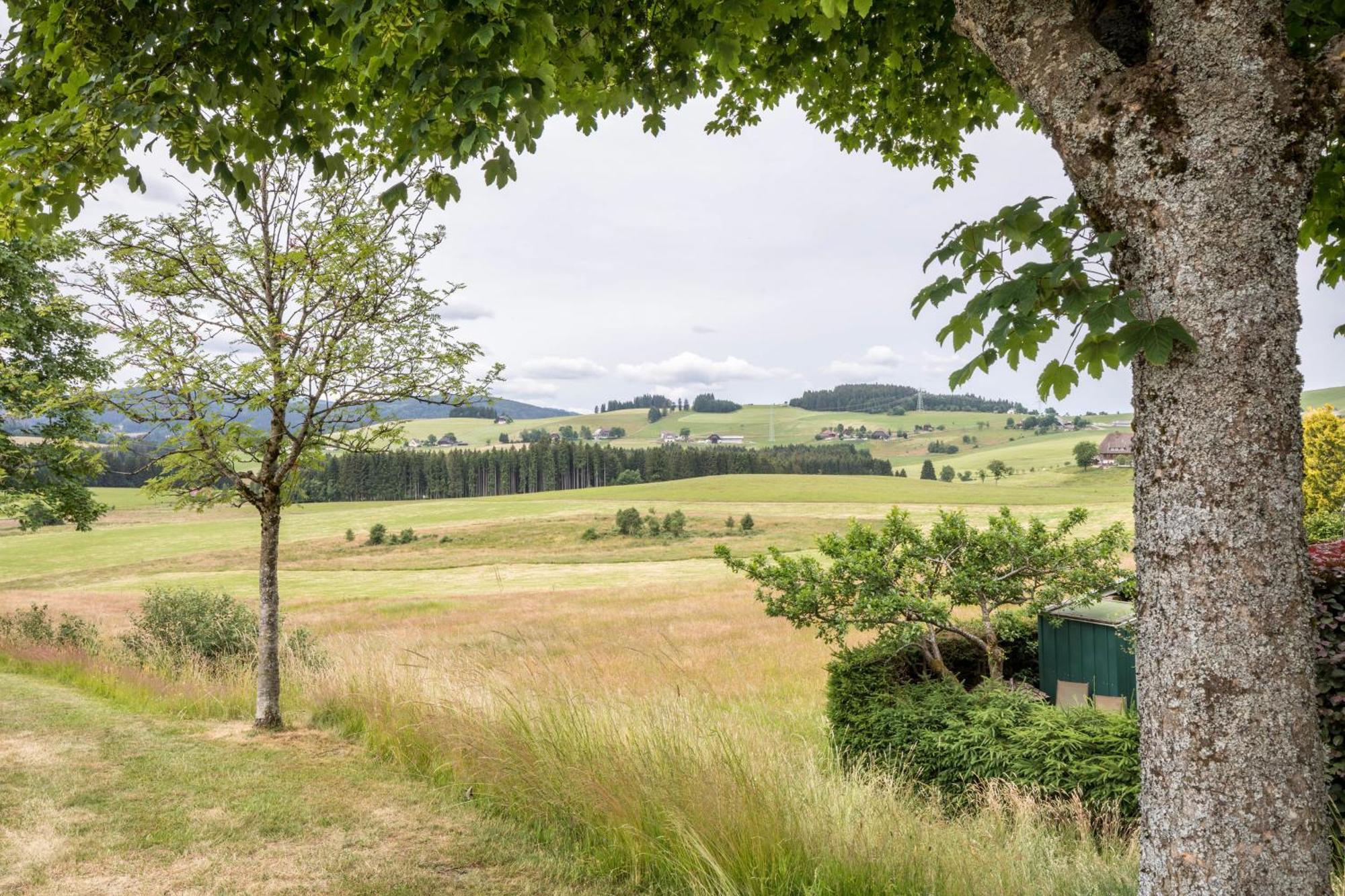 Weitblick Breitnau Exterior foto